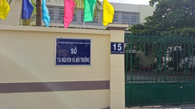 Two Deputy Directors of the Department of Natural Resources and Environment of Binh Thuan were suspended from work.