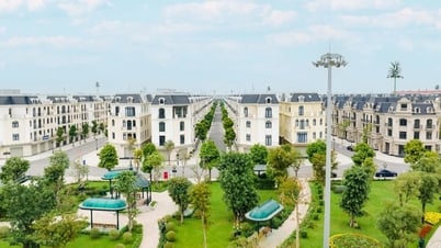 Ocean City attracts investors' attention
