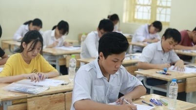 학습자의 주도성을 장려하다