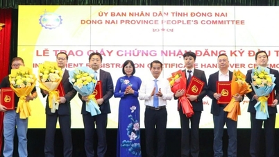 Dong Nai ផ្តល់វិញ្ញាបនបត្រចុះបញ្ជីវិនិយោគដល់គម្រោងធំៗ