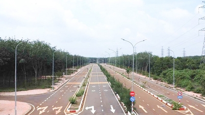 Đồng Nai đấu giá khu đất cụm công nghiệp Long Giao, giá khởi điểm 788 tỷ đồng