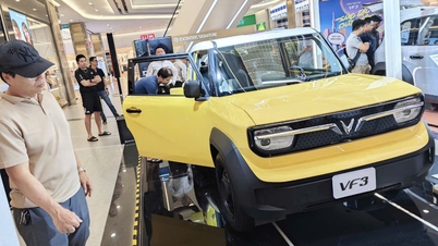Consider VinFast's proposal to continue exempting and reducing registration fees for electric cars