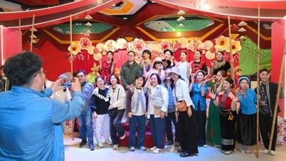 Ha Long attracts visitors at the beginning of the new year