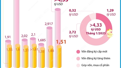 ខែមករា ឆ្នាំ 2025៖ ការវិនិយោគរបស់វៀតណាមនៅបរទេសគឺខ្ពស់ជាងរយៈពេលដូចគ្នាក្នុងឆ្នាំ 2024 ចំនួន 5.1 ដង។