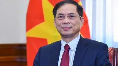 ឧបនាយករដ្ឋមន្ត្រី Bui Thanh Son នឹងចូលរួមកិច្ចប្រជុំកំពូលរដ្ឋាភិបាលពិភពលោកឆ្នាំ ២០២៥
