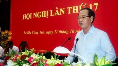 អនុប្រធានក្រុមប្រឹក្សាប្រជាជនខេត្ត Ba Ria