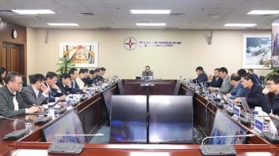 EVN continues to promote business restructuring in 2025