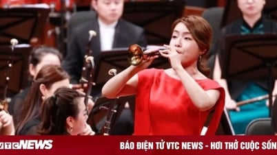 From Girl Forced to Learn a Musical Instrument to China's First Suona Doctor