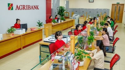 Nach Tet schwanken die Zinssätze vieler Banken in entgegengesetzte Richtungen