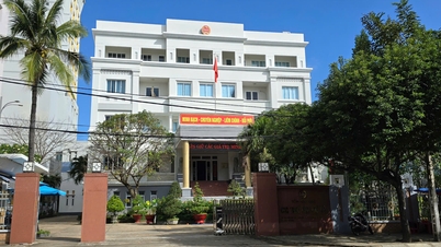 នាយកដ្ឋានពន្ធដារ Phu Yen បានរួមបញ្ចូលគ្នាជាមួយនាយកដ្ឋានពន្ធដារចំនួន 3 ផ្សេងទៀតដើម្បីបង្កើតនាយកដ្ឋានពន្ធក្នុងតំបន់ XIII ។