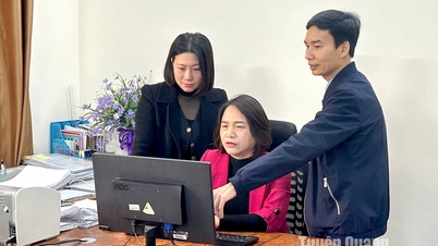 Tuyên Quang triển khai quy định về xử lý các vấn đề liên quan sắp xếp bộ máy