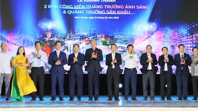Provincial leaders attend the inauguration ceremony of two parks at the Binh Son - Ninh Chu coastal urban area project
