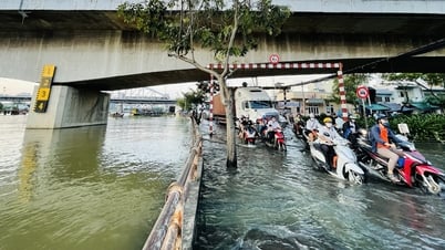 Trong tháng 3, các sở ngành TP.HCM phải hoàn thành gỡ vướng dự án ngăn triều 10.000 tỉ