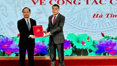 교통부 차관 Nguyen Duy Lam이 Ha Tinh 성 당 위원회 서기로 임명됨