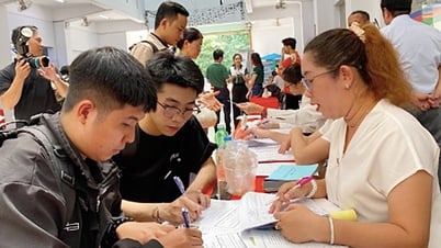 学生はインターンシップを見つけるのに苦労している