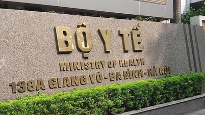 New regulations on functions, tasks and organizational structure of the Ministry of Health