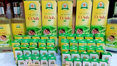 Quang Nam បន្តលើកតម្កើងផលិតផលឧស្សាហកម្មជនបទ