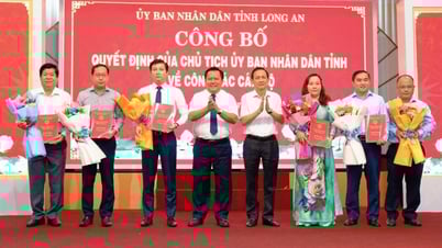 Long An thành lập các cơ quan chuyên môn thuộc UBND tỉnh