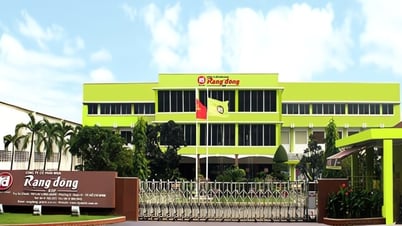 ប្រតិបត្តិការរបស់ Rang Dong Holding គឺ "ខ្វិន"៖ នៅតែជំពាក់ម្ចាស់ភាគហ៊ុនជប៉ុន ដោយខ្ចីប្រាក់រាប់ពាន់លានពីធនាគារ