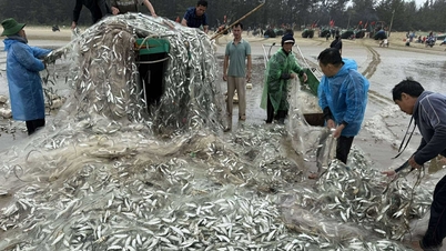 เพิ่งถูกแจ็กพอตจับปลาเฮอริง 1.5 ตัน เรือประมงล่มเพราะคลื่นลม