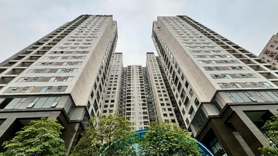 Les locataires de logements chez l'habitant peuvent « voir » les appartements avant d'acheter
