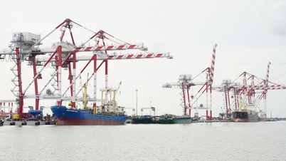 Long An studies support of 250 million VND for each container ship entering the port