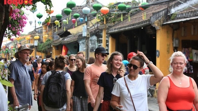 Gần 1,9 triệu lượt khách du lịch quốc tế đến Việt Nam tháng 2