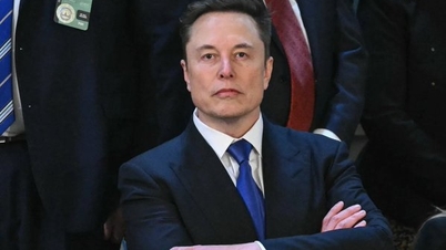 មហាសេដ្ឋី Elon Musk និយាយថា អាមេរិកគួរតែ "ពិតជា" ចាកចេញពីណាតូ