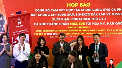 Một thương hiệu cà phê Đắk Lắk xuất khẩu container thứ 3 sang Hoa Kỳ