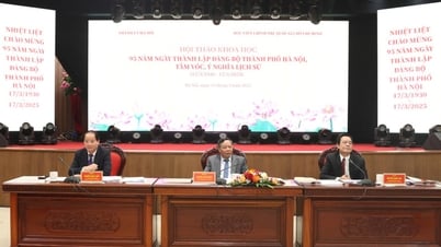 Wissenschaftliches Seminar „95. Jahrestag der Gründung des Parteikomitees der Stadt Hanoi“