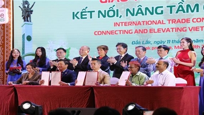 Giao thương quốc tế - Kết nối, nâng tầm cà phê Việt