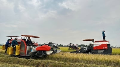 ធនាគារ Agribank ជំរុញការផ្តល់ប្រាក់កម្ចីសម្រាប់ផលិតកម្ម និងជួញដូរស្រូវ