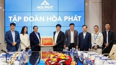 Hoa Phat នឹង​ចំណាយ​ថវិកា​ជាង ១៣.៤០០​ពាន់​លាន​ដុង​ក្នុង​ឆ្នាំ​២០២៤