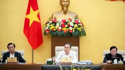 ចាំបាច់ត្រូវកំណត់ឱ្យបានច្បាស់លាស់នូវទំនួលខុសត្រូវក្នុងការគ្រប់គ្រងគុណភាពទំនិញ និងផលិតផល។