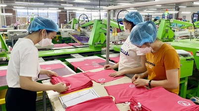 Nghe An attracts more projects from Singapore investing more than 1,300 billion VND