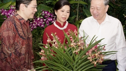 Singapore names new orchid species after General Secretary To Lam and his wife