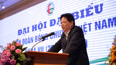 "Bầu" Huyền làm dậy sóng bóng chuyền Việt Nam