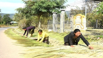 Mùa đót trên dãy Trường Sơn...