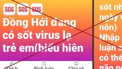ផ្ទៀងផ្ទាត់ព័ត៌មានអំពី 'មេរោគចម្លែកបង្កឱ្យក្តៅខ្លួន'