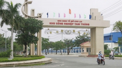 ខេត្ត Quang Nam អំពាវនាវឱ្យមានការវិនិយោគលើហេដ្ឋារចនាសម្ព័ន្ធសួនឧស្សាហកម្ម