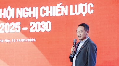 Mr. Nguyen Van Tuan resigned from the Board of Directors to focus on the role of CEO of GELEX.