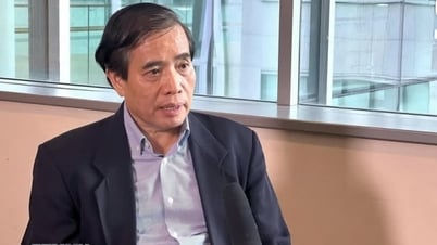 Expert: Vietnam needs to promote international educational integration