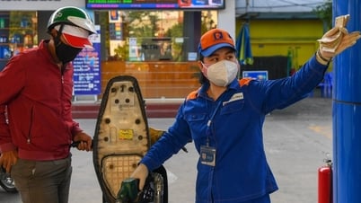 Quý kinh doanh ảm đạm của loạt "ông lớn" Petrolimex, PV Oil, Bình Sơn