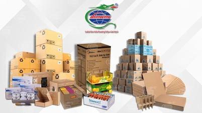 Bao bì Hoàng Long nỗ lực đổi mới, nâng cao năng lực cạnh tranh