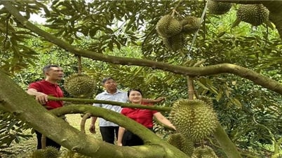 Phu Yen: Accelerating the implementation of national target programs