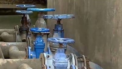 Ministry of Finance Inspector: Clean water company in Ninh Binh lost more than 211 billion VND