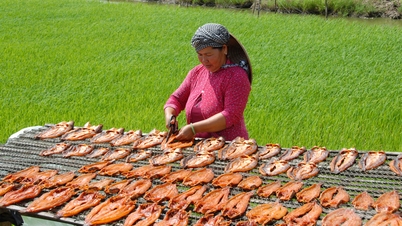 An Giang hat 184 OCOP-Produkte mit 3 bis 5 Sternen