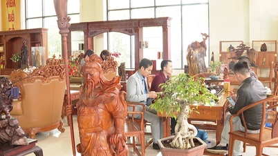 "សួនកុមារ" ច្នៃប្រឌិតសម្រាប់ភូមិសិប្បកម្មឈើវិចិត្រ Van Ha