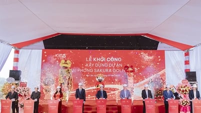 គម្រោងក្លឹបវាយកូនហ្គោល Hai Phong Sakura ការបើកដំណើរការ៖ បើករចនាប័ទ្មដ៏ប្រណិត