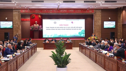 Chuyên gia, doanh nghiệp hiến kelàm sạch sông Tô Lịch